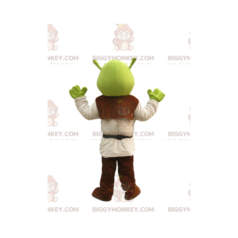 BIGGYMONKEY™ mascottekostuum van Shrek, de grappige boeman van