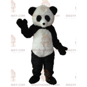 Schwarz-weißer Panda BIGGYMONKEY™ Maskottchen-Kostüm.