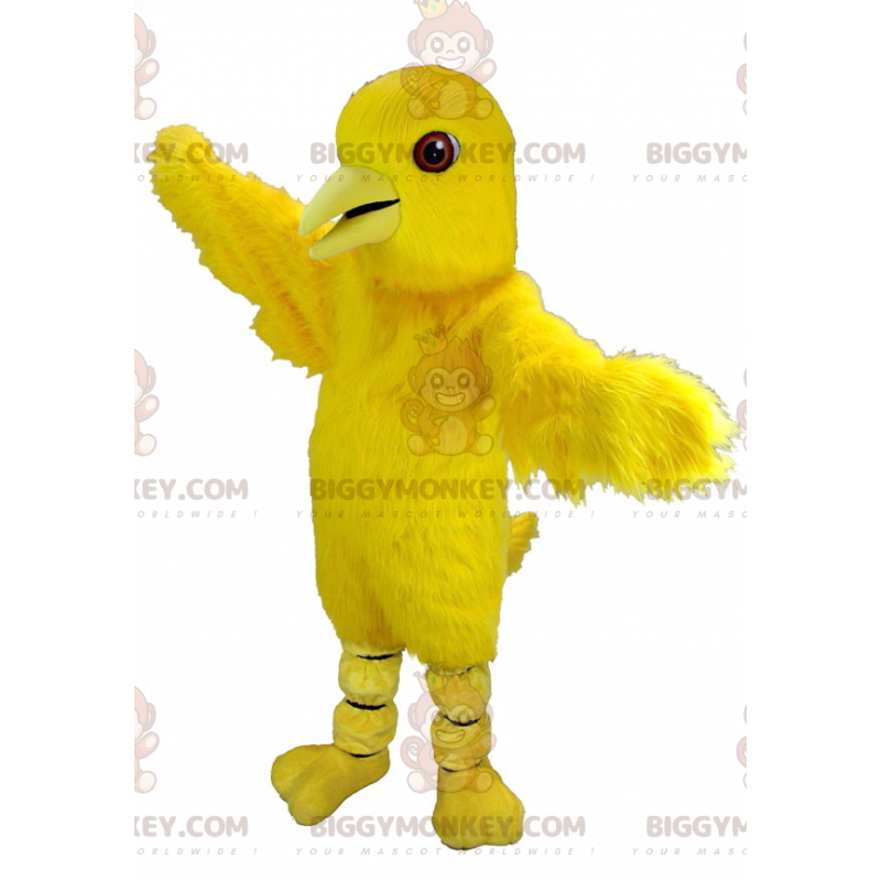 Fantasia de mascote gigante canário amarelo pássaro