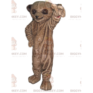 Costume de mascotte BIGGYMONKEY™ de lémurien marron avec de