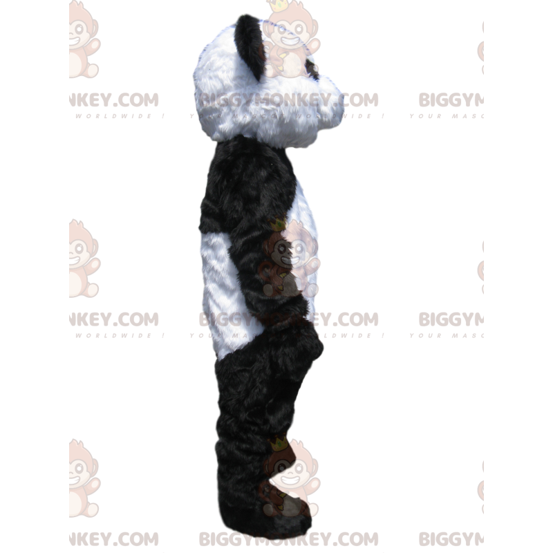 Schwarz-weißer Panda BIGGYMONKEY™ Maskottchen-Kostüm -