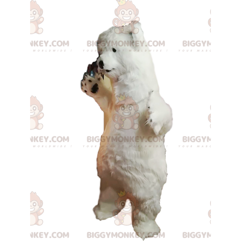 Costume de mascotte BIGGYMONKEY™ d'ours blanc avec une fourrure