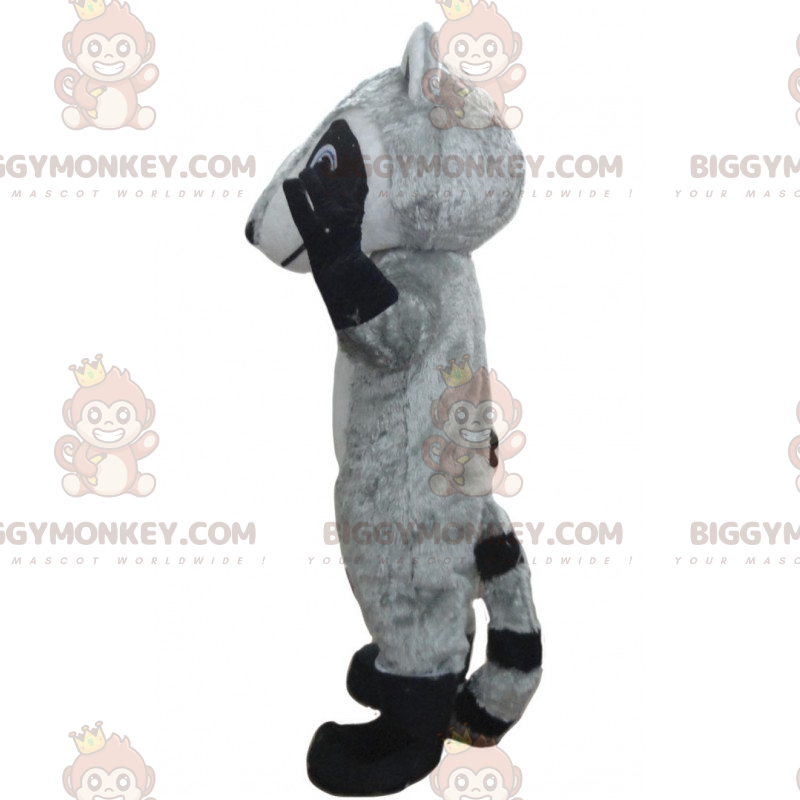 Traje de mascote de animais da floresta BIGGYMONKEY™ - Guaxinim