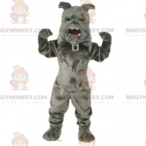 BIGGYMONKEY™ Haustier-Maskottchen-Kostüm – Bulldogge mit