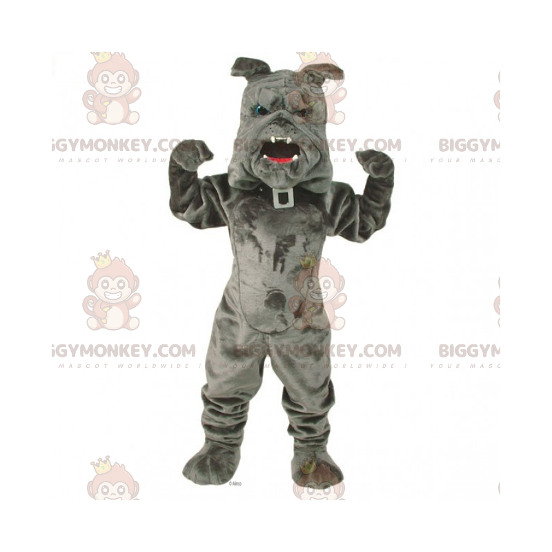 BIGGYMONKEY™ lemmikkieläinten maskottiasu - Bulldog ja kaulus -