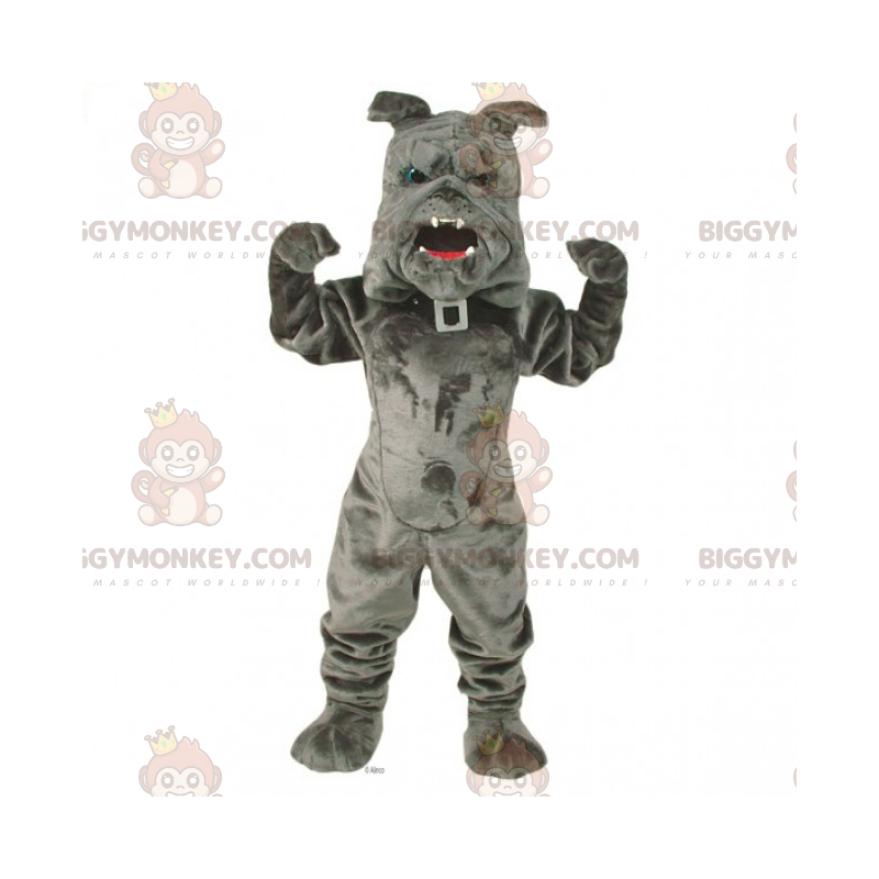 BIGGYMONKEY™ Pet Mascot Costume - Bulldog med halsbånd -