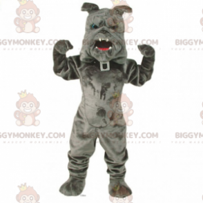 BIGGYMONKEY™ lemmikkieläinten maskottiasu - Bulldog ja kaulus -