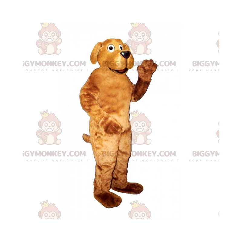 Costume de mascotte BIGGYMONKEY™ animaux domestiques - Labrador