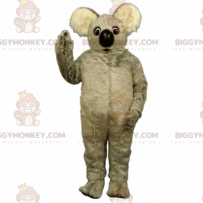 Wild Animal BIGGYMONKEY™ maskottiasu - Pehmoinen koala -