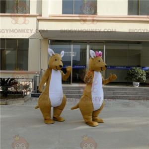 BIGGYMONKEY™ pariskunnan kenguru-maskottiasu - Biggymonkey.com