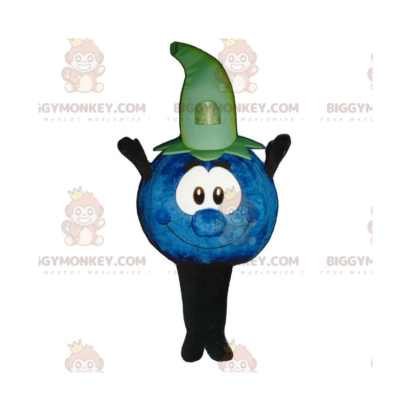 Costume de mascotte BIGGYMONKEY™ de bleuet - Biggymonkey.com