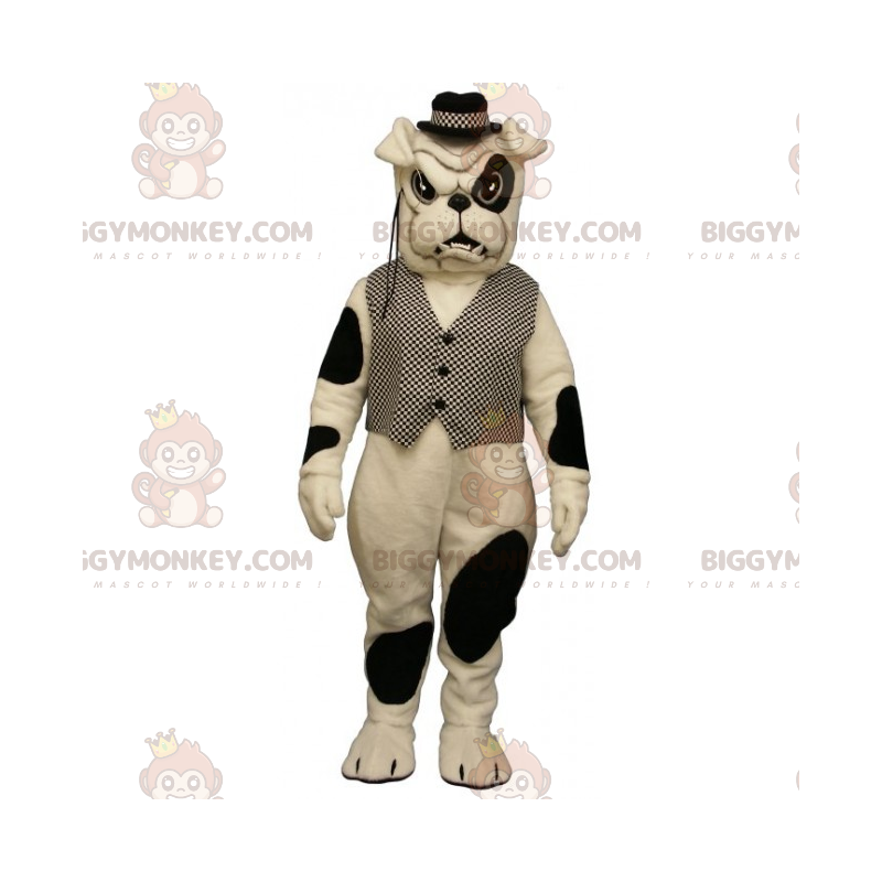 Traje de mascote de buldogue malhado BIGGYMONKEY™ com jaqueta e