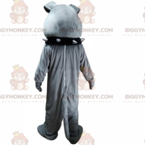 Bulldog BIGGYMONKEY™ Mascot Costume with Black Collar –