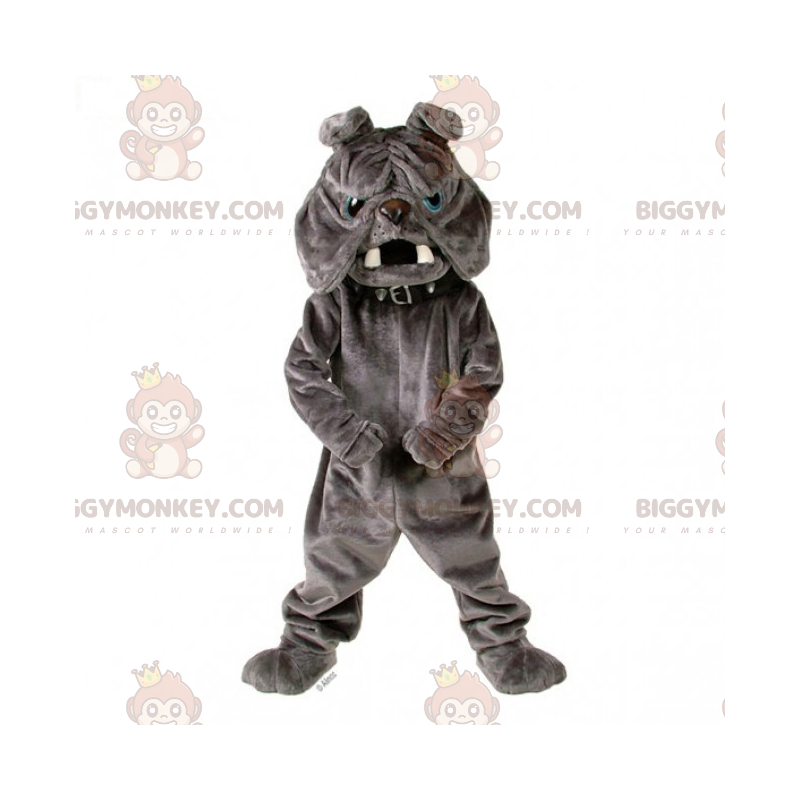 BIGGYMONKEY™ Gray Bulldog Mascot Costume With Collar -