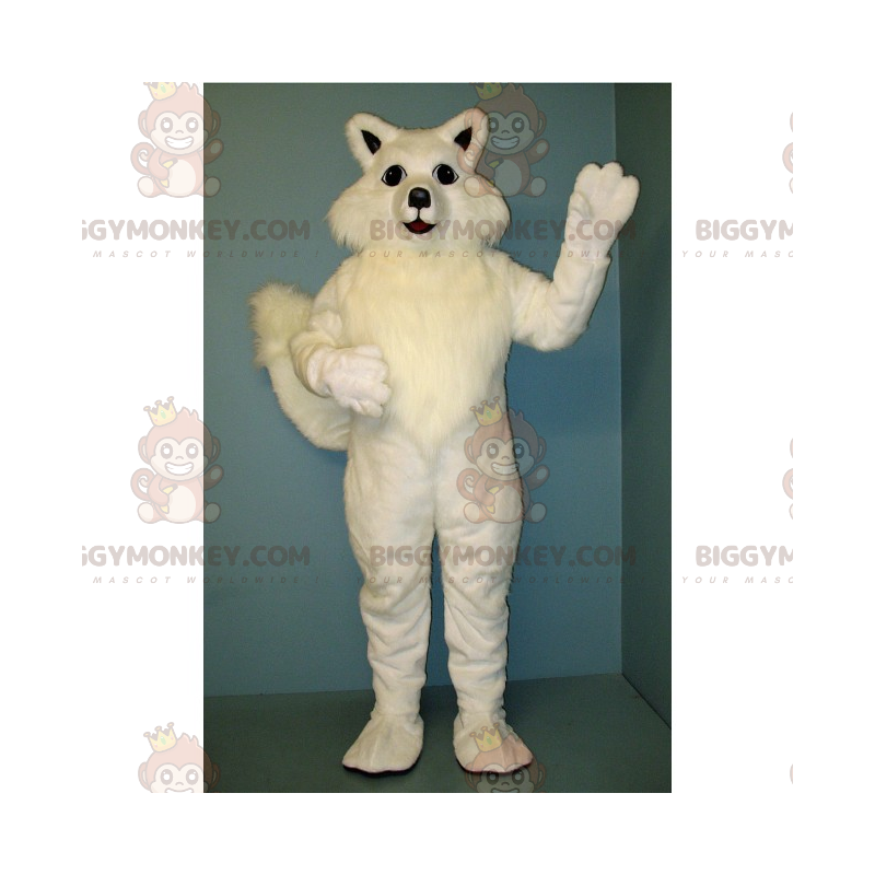 Costume de mascotte BIGGYMONKEY™ de chat blanc - Biggymonkey.com