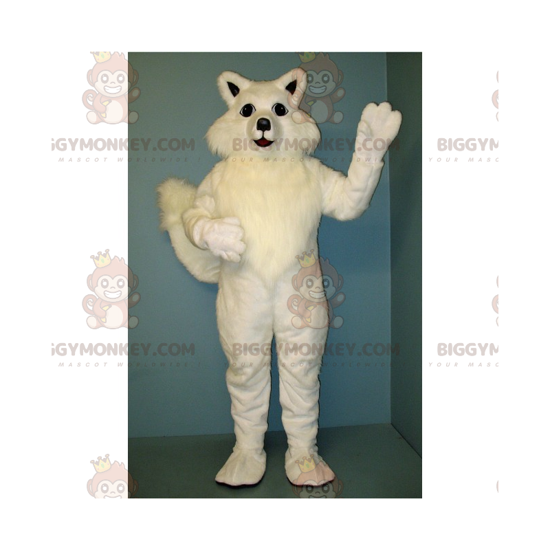 Disfraz de mascota gato blanco BIGGYMONKEY™ - Biggymonkey.com