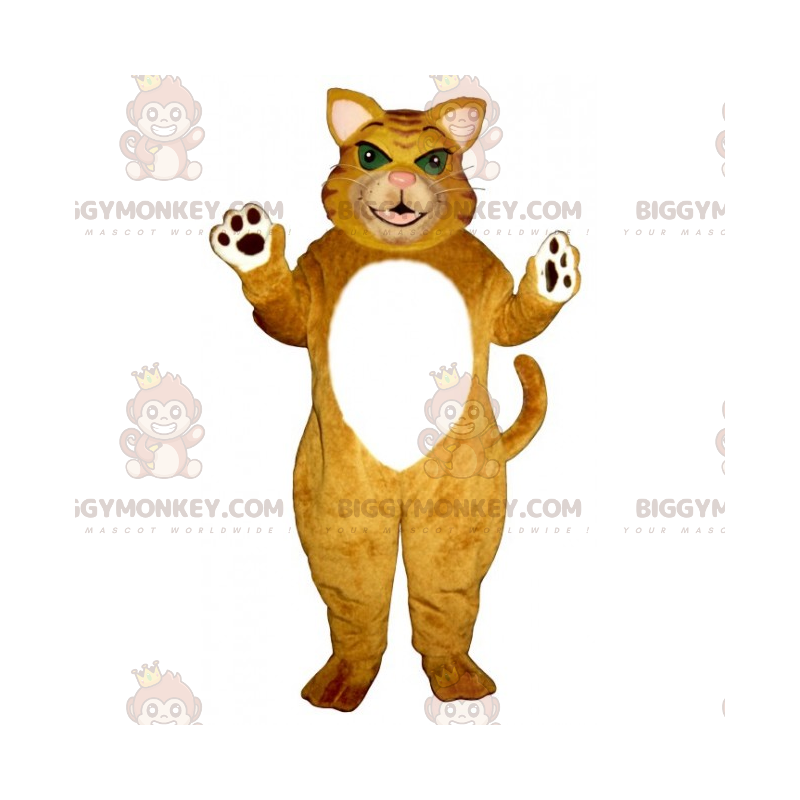 Costume della mascotte del gatto tigre dagli occhi verdi