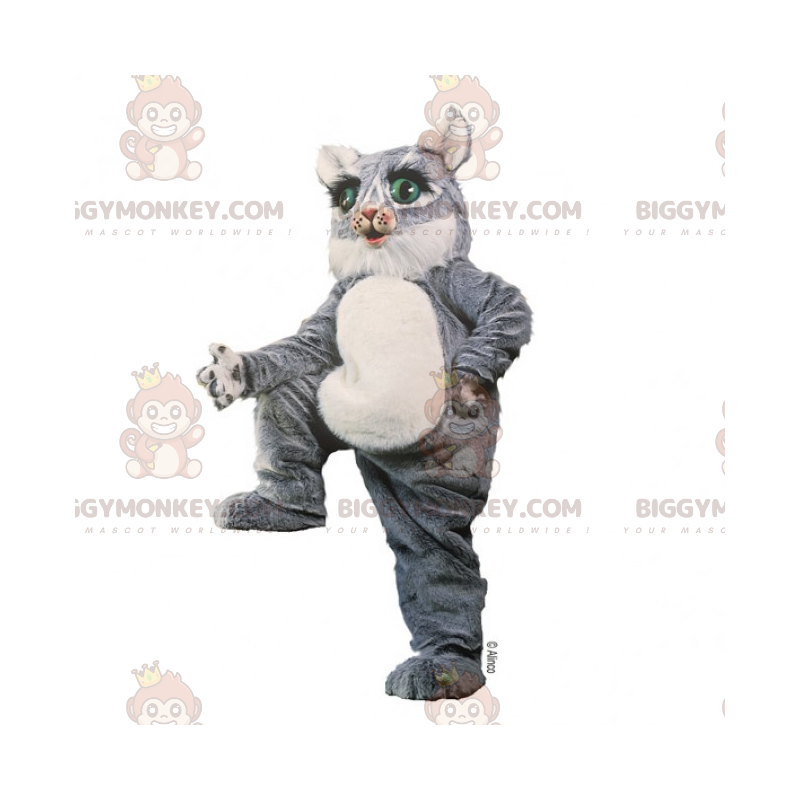 Green Eyed Grey Kitten BIGGYMONKEY™ maskotkostume -