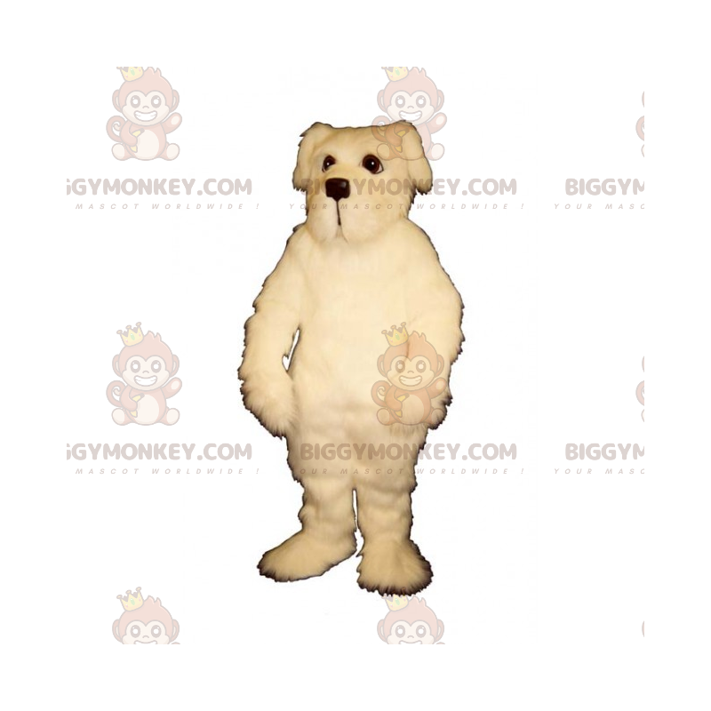 Hunde BIGGYMONKEY™ maskotkostume - Bichon maltesisk -