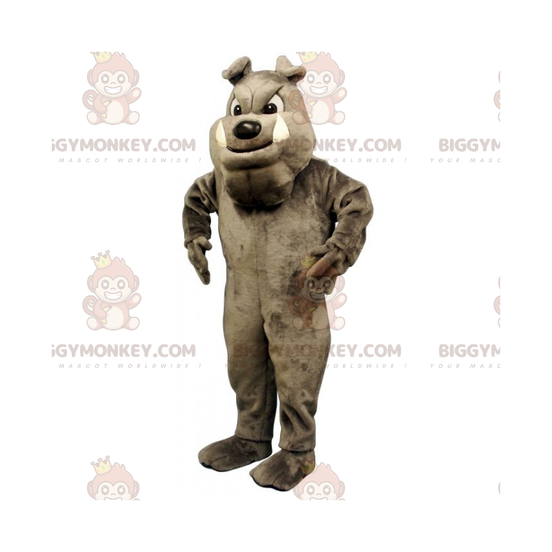 Dog BIGGYMONKEY™ Mascot Costume - Gray English Bulldog –