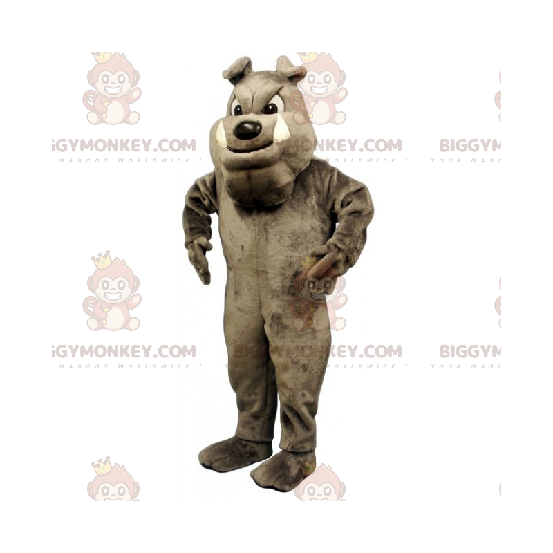 Hunde BIGGYMONKEY™ maskotkostume - grå engelsk bulldog -