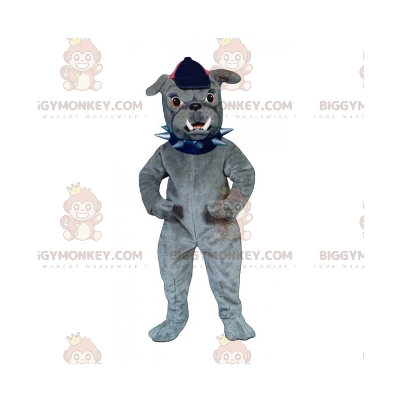 Hund BIGGYMONKEY™ Maskottchen-Kostüm – Bulldogge mit Mütze -