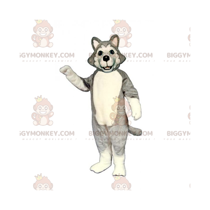 Koiran BIGGYMONKEY™ maskottiasu - harmaa husky - Biggymonkey.com