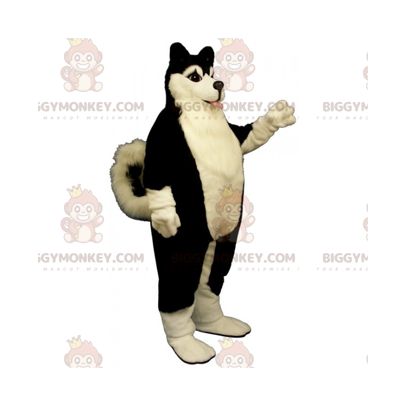 Koiran BIGGYMONKEY™ maskottiasu - musta husky - Biggymonkey.com