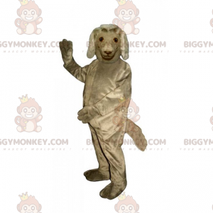 Dog BIGGYMONKEY™ Mascot Costume - Irish Setter – Biggymonkey.com