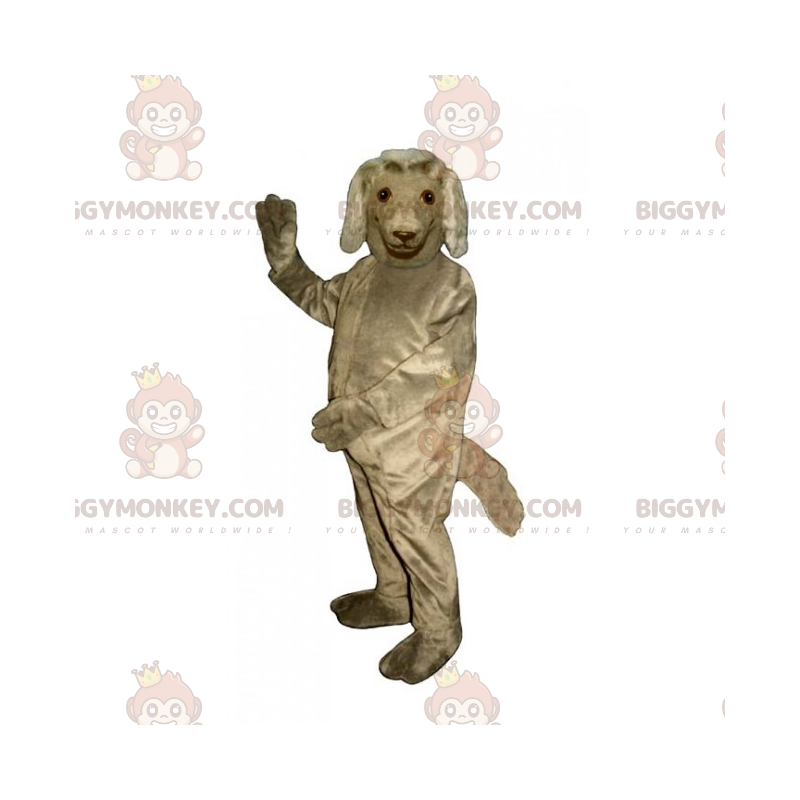 Hunde BIGGYMONKEY™ maskotkostume - irsk setter - Biggymonkey.com