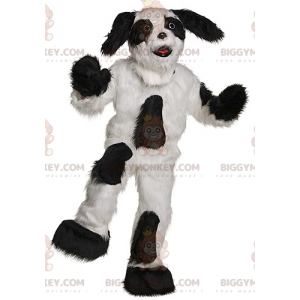 Disfraz de mascota BIGGYMONKEY™ de perro blanco y negro peludo