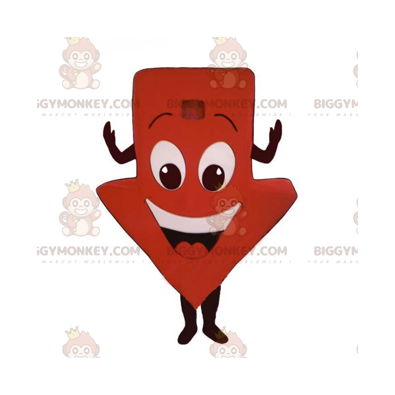 Costume da mascotte BIGGYMONKEY™ Freccia giù con sorriso -