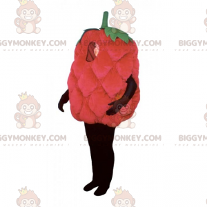 Costume da mascotte BIGGYMONKEY™ lampone - Biggymonkey.com