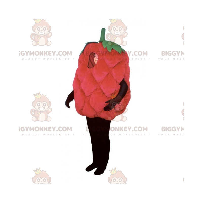 Kostým maskota Malina BIGGYMONKEY™ – Biggymonkey.com