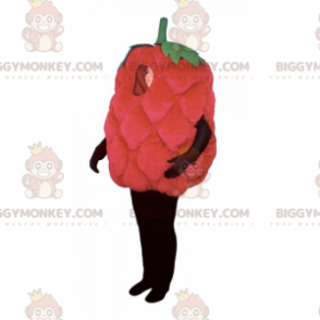 Costume da mascotte BIGGYMONKEY™ lampone - Biggymonkey.com