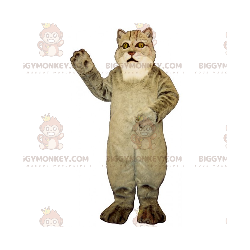 Kostium maskotka duży szary kot BIGGYMONKEY™ - Biggymonkey.com