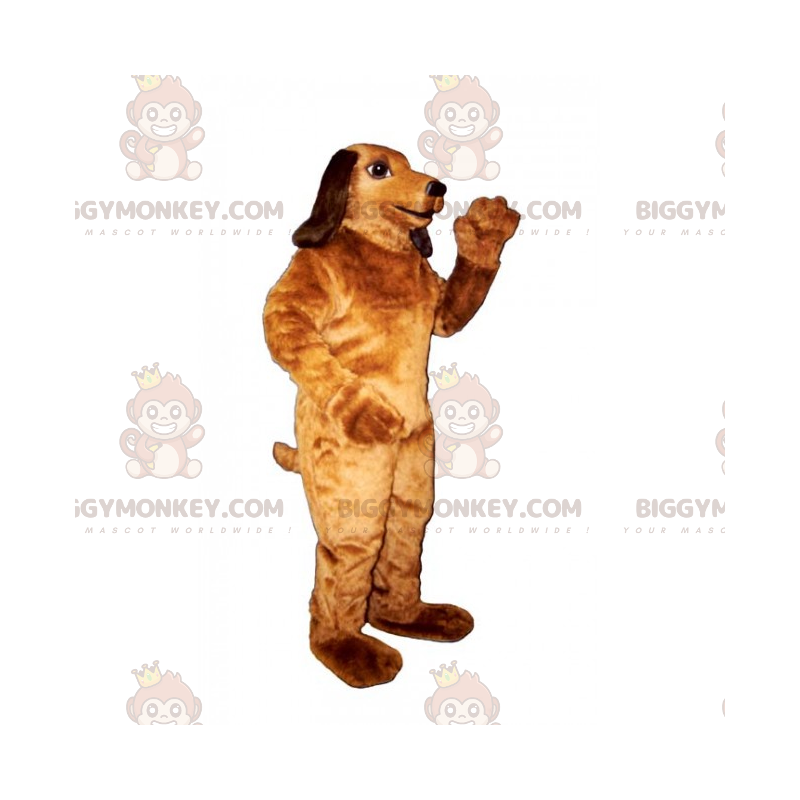 Costume da mascotte Big Bassotto BIGGYMONKEY™ - Biggymonkey.com