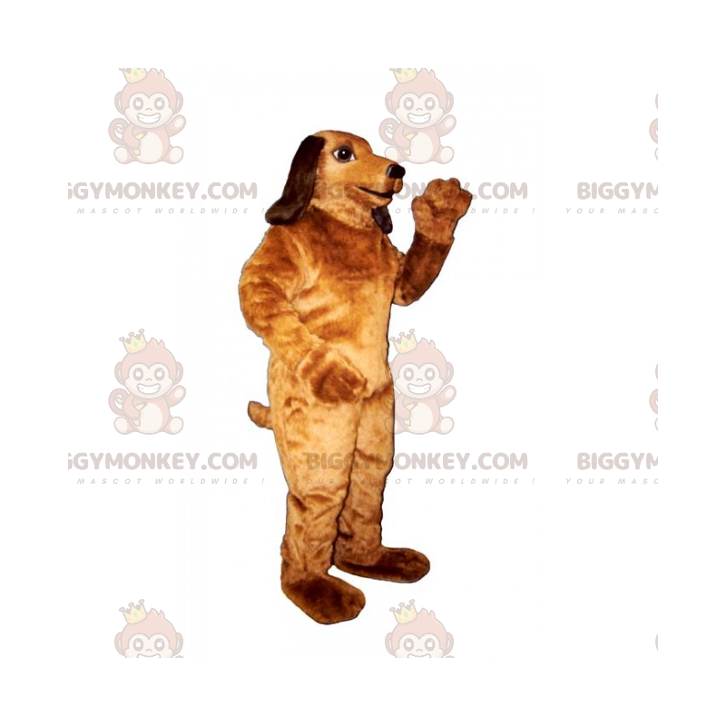 Stor gravhund BIGGYMONKEY™ maskotkostume - Biggymonkey.com