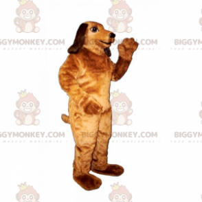 Costume da mascotte Big Bassotto BIGGYMONKEY™ - Biggymonkey.com
