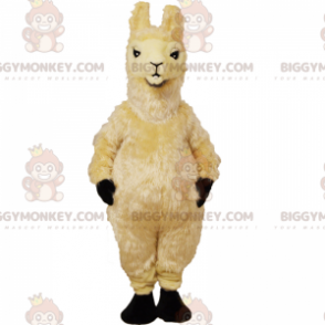 Beige lama BIGGYMONKEY™ maskotkostume - Biggymonkey.com