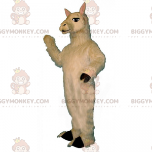 Hvid lama BIGGYMONKEY™ maskotkostume - Biggymonkey.com