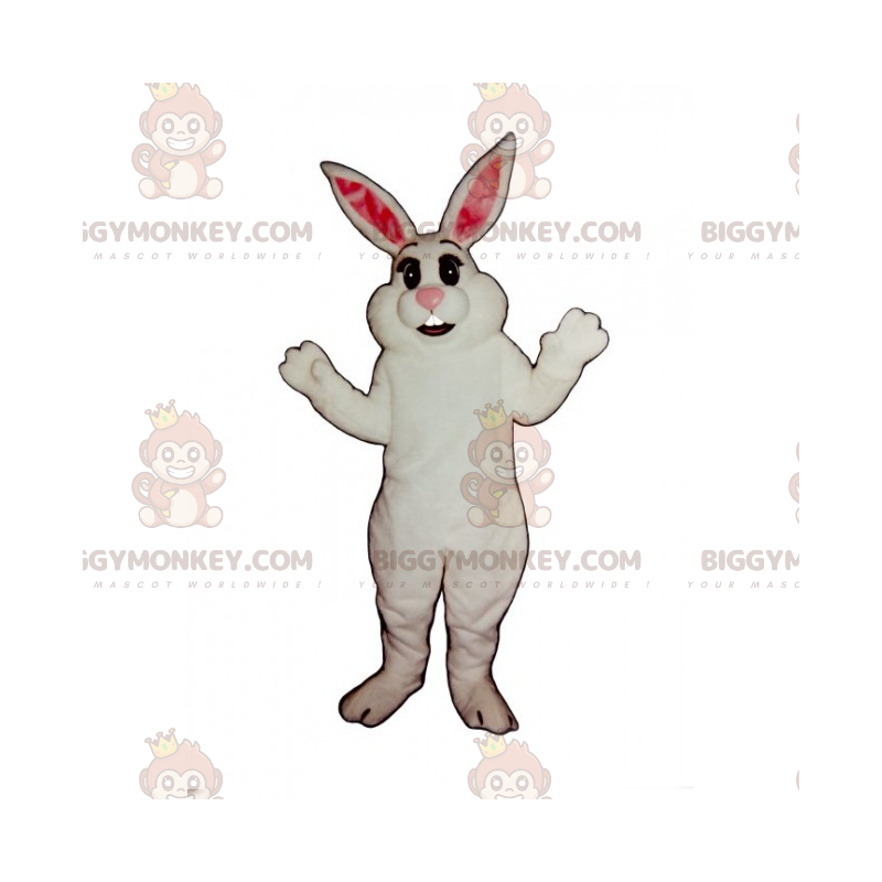 Klassinen White Rabbit BIGGYMONKEY™ maskottiasu -