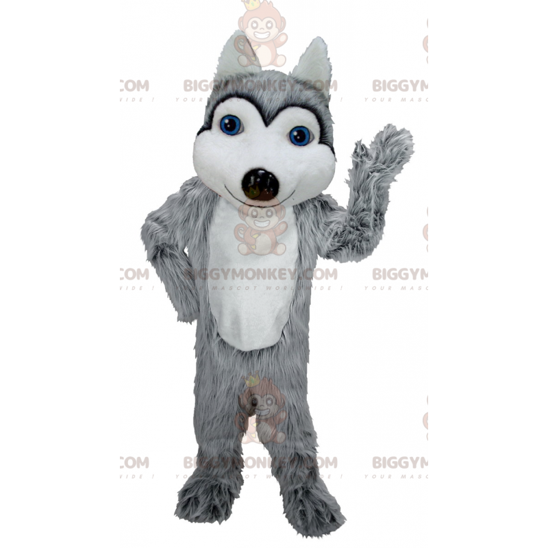 Blauäugiges grau-weißes Wolf-Maskottchen-Kostüm BIGGYMONKEY™ -