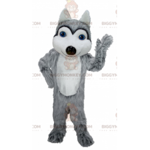 Costume da mascotte lupo grigio e bianco occhi azzurri