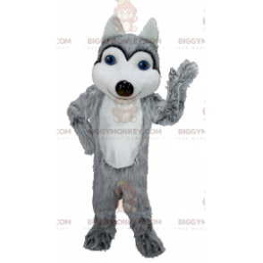 Traje de mascote de lobo branco e cinza de olhos azuis