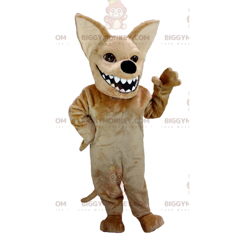 Big Mouth Brown Chihuahua BIGGYMONKEY™ maskottiasu -