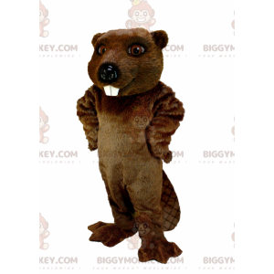 Traje de mascote de castor marrom BIGGYMONKEY™ muito realista –