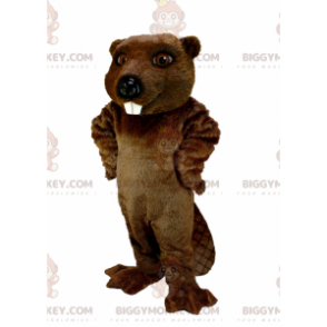 Costume de mascotte BIGGYMONKEY™ de castor marron très réaliste