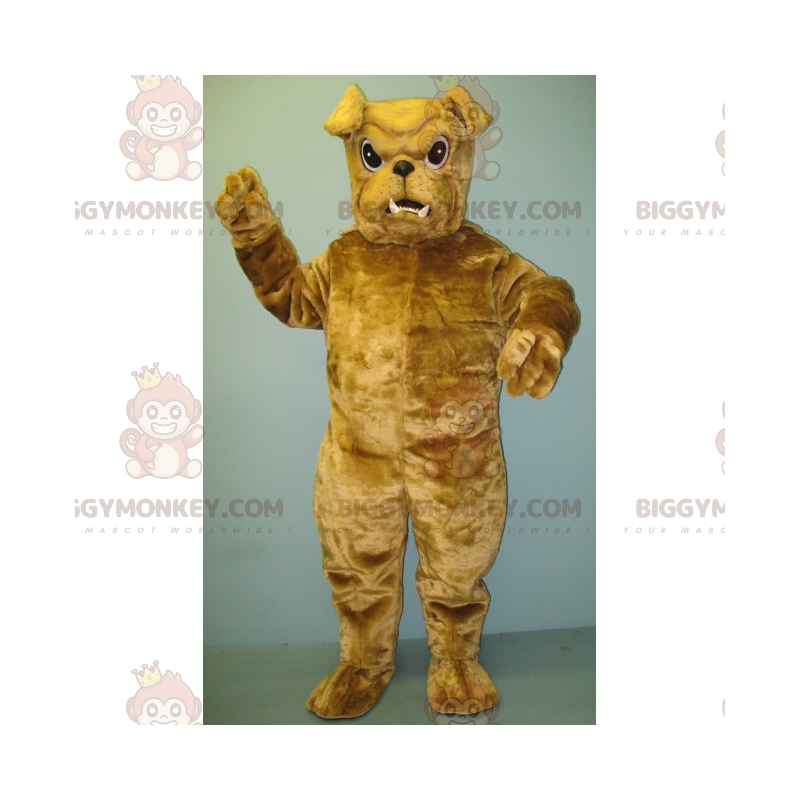 Little Tan Bulldog BIGGYMONKEY™ maskotkostume - Biggymonkey.com