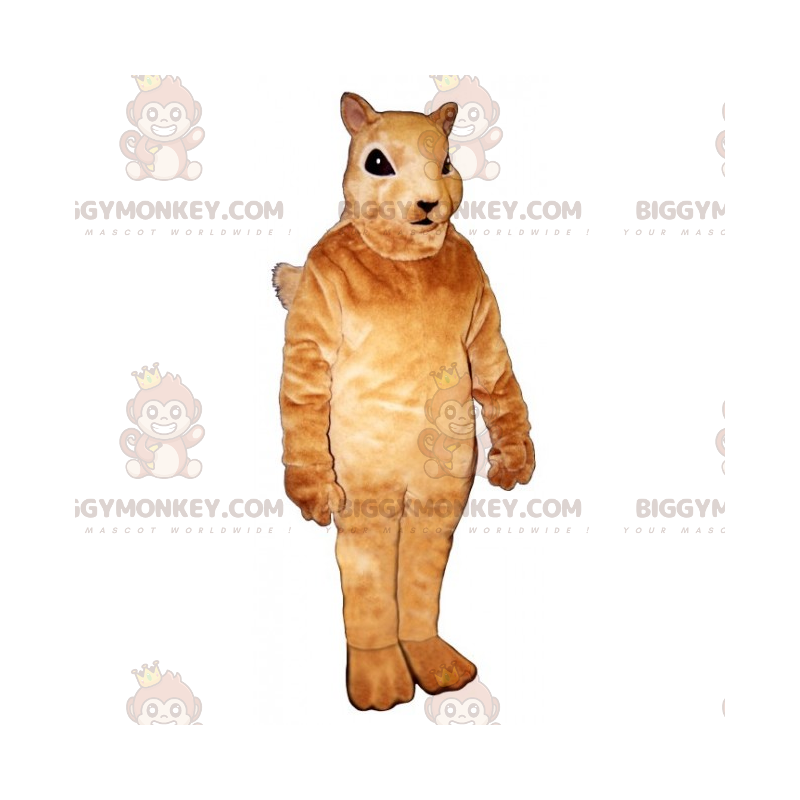 Kleine beige eekhoorn BIGGYMONKEY™ mascottekostuum -